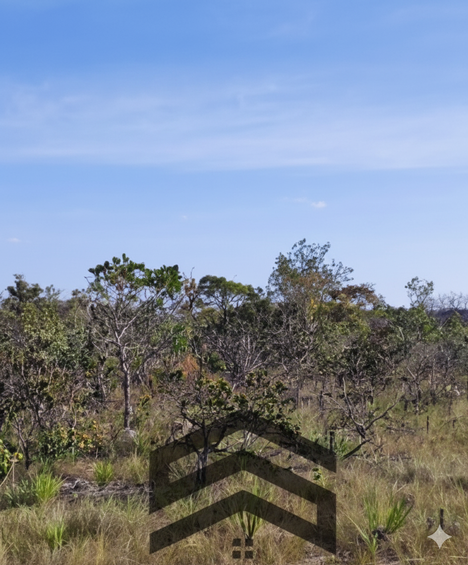 LOT00498