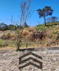 LOT00459