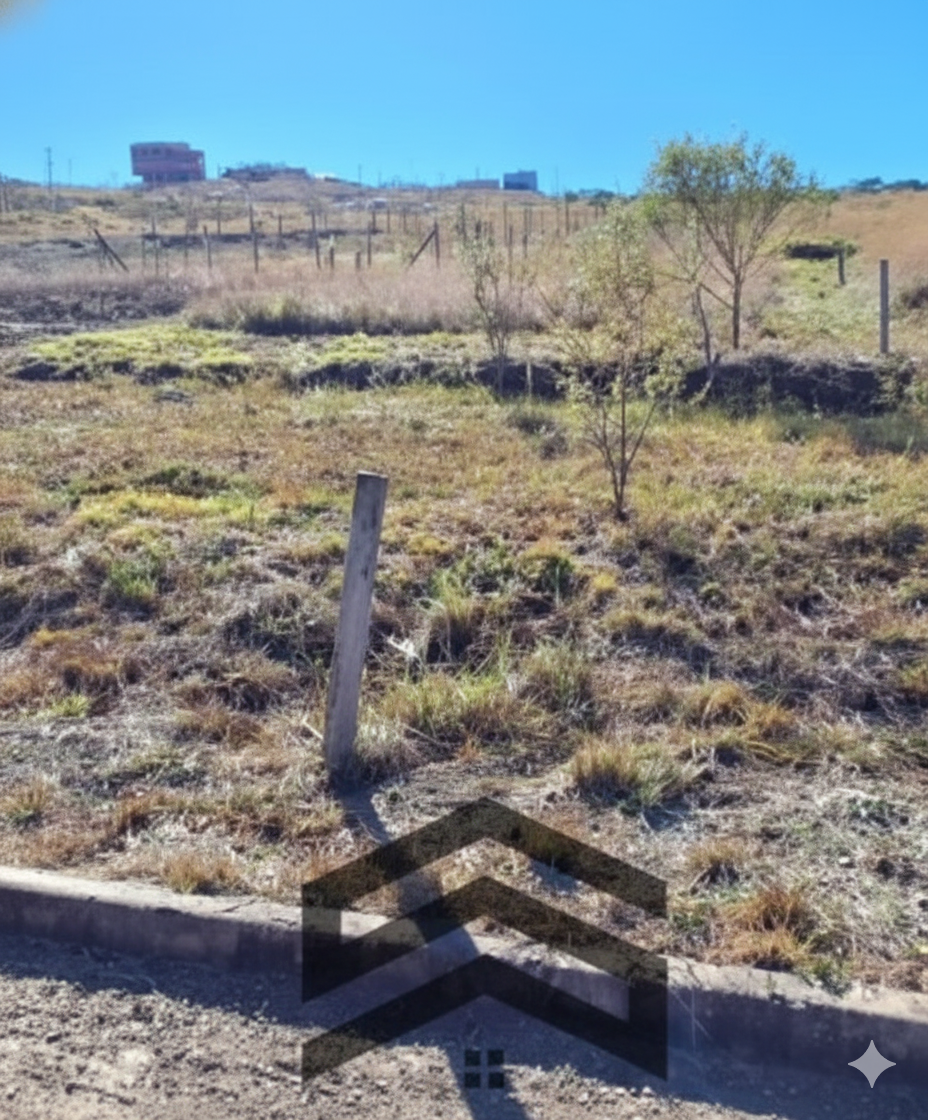 LOT00437