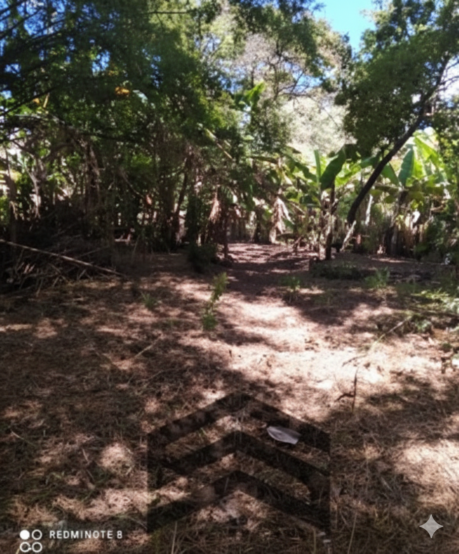 Foto principal
