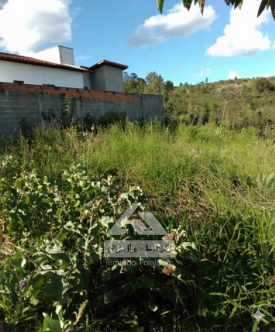 LOT00259